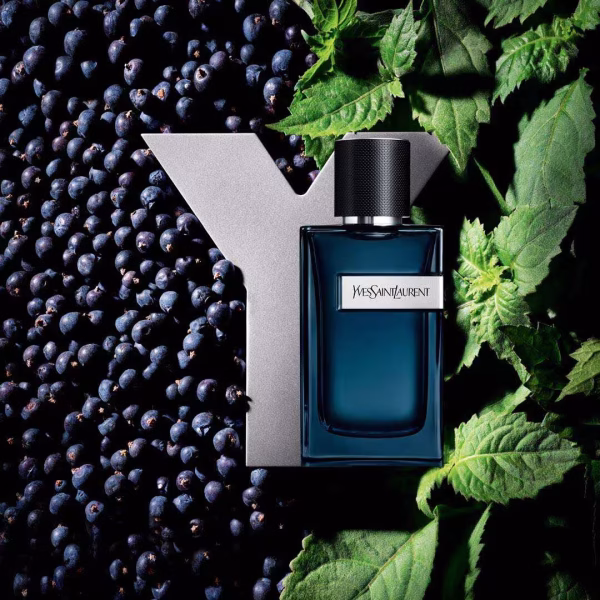 Yves Saint Laurent Y Pour Homme Edp Intense 100 ml