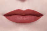 Chanel Rouge Allure Velvet Luminous Matte Lip Colour 54 Paradoxale