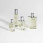 Hermes H24 Edp 50 ml